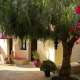B&B O Tartufo